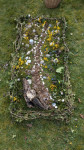 Archenfield Benefice blog image - Easter Garden 2026