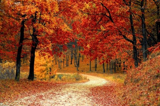 Archenfield Benefice blog image - Living generously