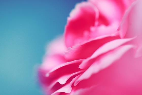 Archenfield Benefice blog image - From Frances, our Associate Minister: March 2019